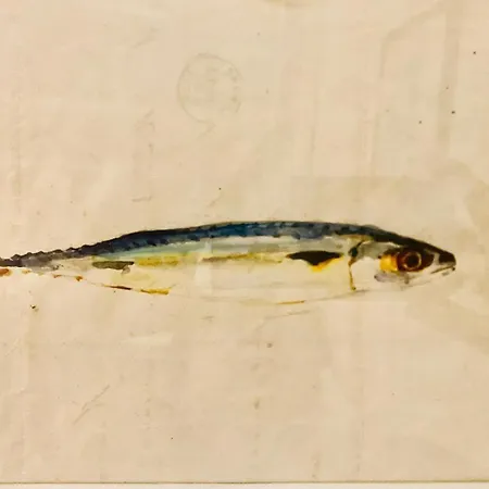 La Maison Narbonnaise 3* Narbonne