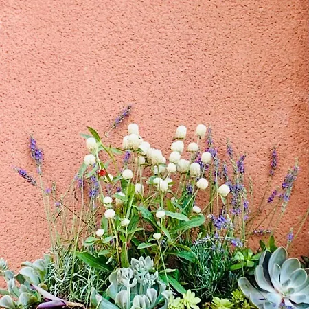 Bed & Breakfast La Maison Narbonnaise 3*