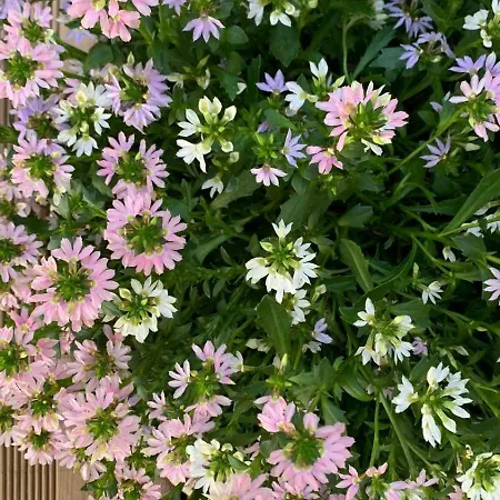 La Maison Narbonnaise Bed & Breakfast