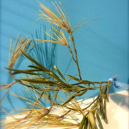 La Maison Narbonnaise Narbonne