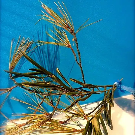 La Maison Narbonnaise Narbonne