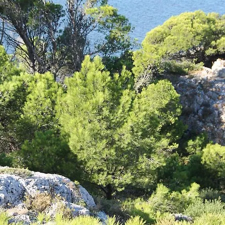 Bed & Breakfast La Maison Narbonnaise Narbonne