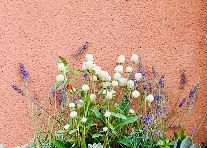 Couette-café La Maison Narbonnaise 3*