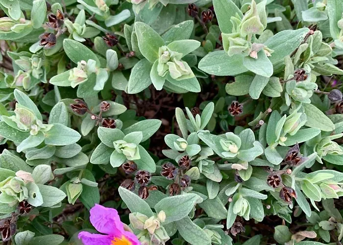 La Maison Narbonnaise Couette-café 3*